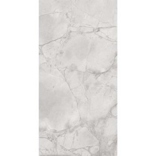 ELIZABETH - MAXISILVER 60x120